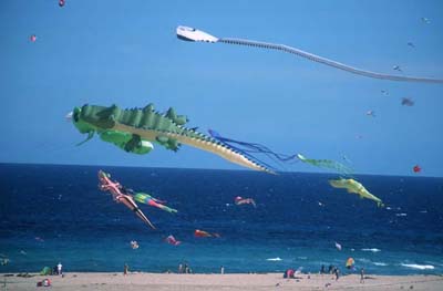 Drachenfestival in Corralejo