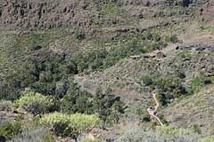 Palmitos Park