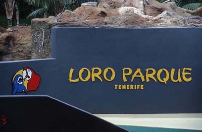 Teneriffa Loro Parque in Puerto de la Cruz