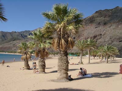 Traumstrand auf Teneriffa - Playa de las Teresitas