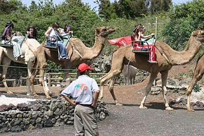Teneriffa Camello Park