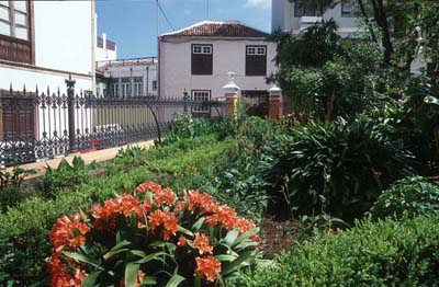 Teneriffa Hijuela del Botanico hinter dem Rathaus