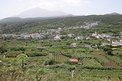 Landwirtschaft rund um El Tanque