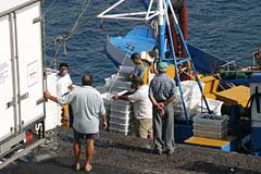 Fischer und Fischhändler