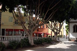Plaza von Guia de Isora