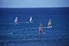 Windsurfer bei El Medano