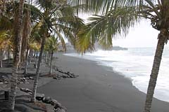Palmen am schwarzen Lavastrand von Puerto Naos