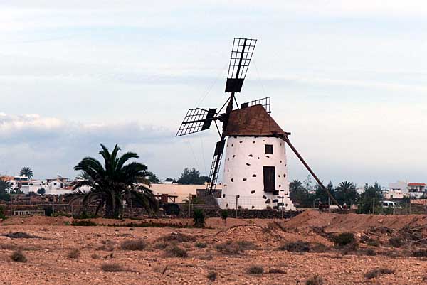 Windmühle bei El Cotillo