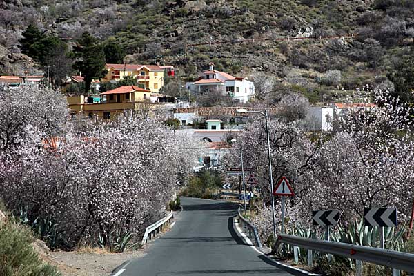 Gran Canaria - 