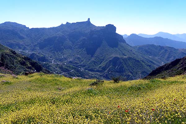 Bergmassiv um den Roque Nublo