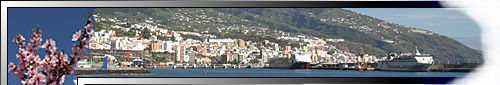 La Palma- Lastminute, Urlaub La Palma, Last minute La Palma, Bungalow, La Palma Ferienvilla, La Palma Ferienwohnung, La Palma