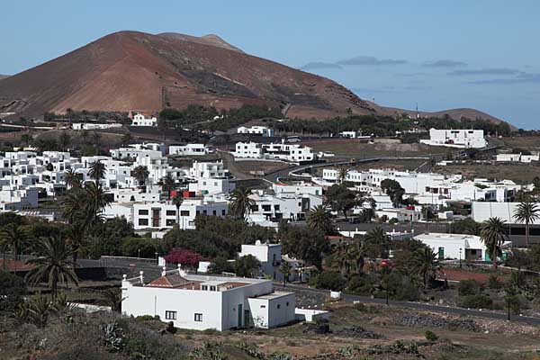 Uga - Lanzarote