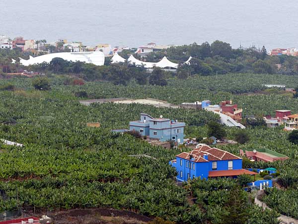 Blick auf die Bananenplantagen in Puerto de la Cruz