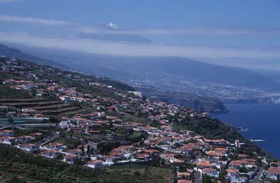 Blick über die Nordküste zum Teide - El Sauzal - Teneriffa