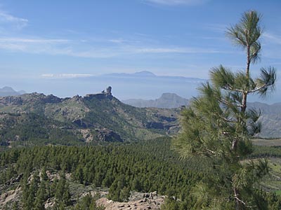 Gran Canaria - 