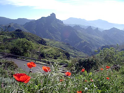 Gran Canaria - 