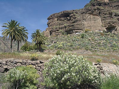 Gran Canaria - 