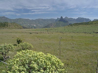 Gran Canaria - 