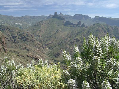 Gran Canaria - 