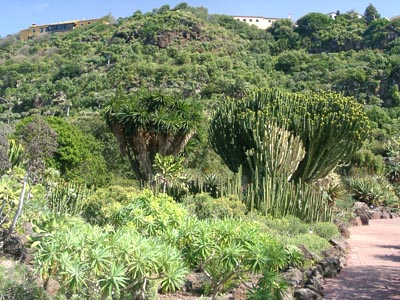 Gran Canaria - 
