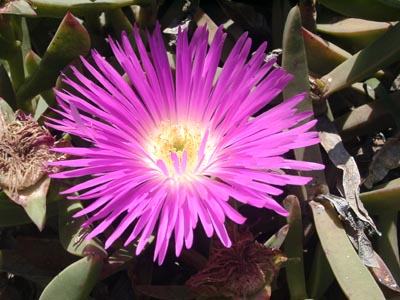Gran Canaria - 