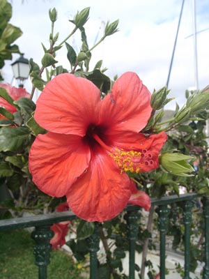Gran Canaria - 