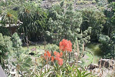 Gran Canaria - 