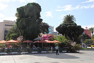 Gran Canaria - 