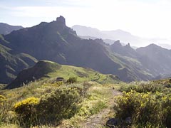 Landschaft am Roque Bentaiga - Gran Canaria