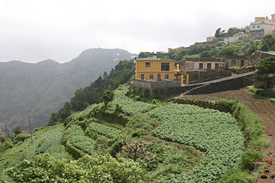 Teneriffa 