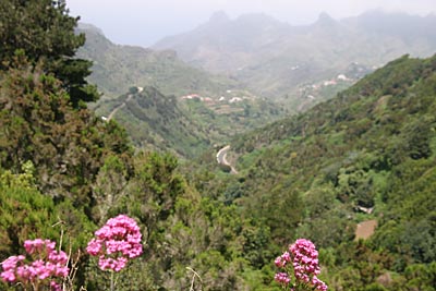 Teneriffa 