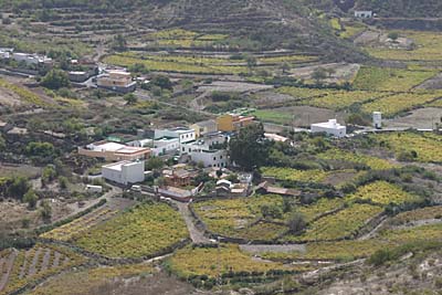 Blick ins Valle de Arriba - Teneriffa