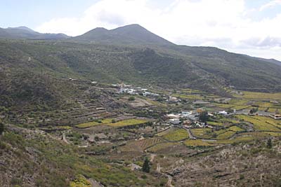 Hochtal auf über 800 Metern Höhe - Valle de Arriba - Teneriffa