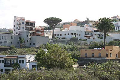 Teneriffa 
