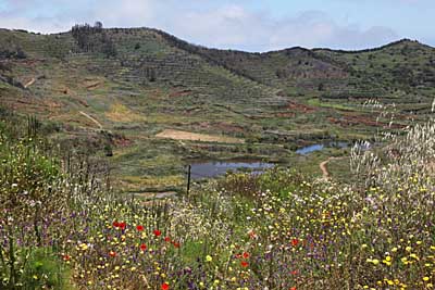 Blick vom Erjos-Paß nach Norden - Teneriffa