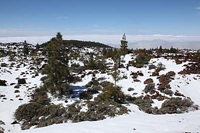 Teneriffa