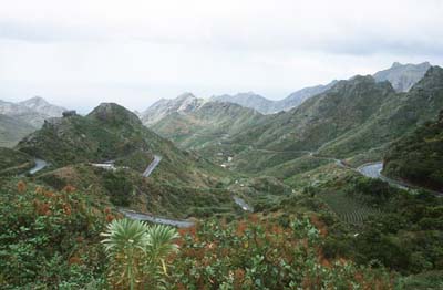 Teneriffa Anagagebirge: Straße von San Andres in die Berge