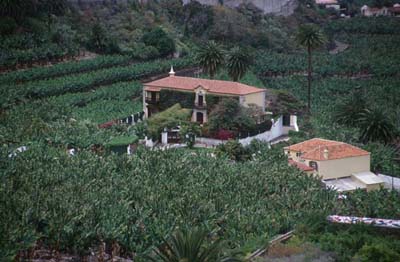 Teneriffa 