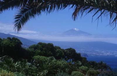 Teneriffa Postkartenidylle: Palmen, NordkÜste und Teide