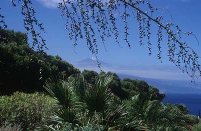 Teneriffa 