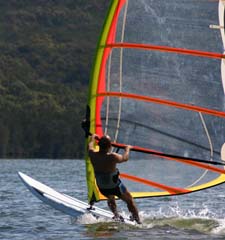 Windsurfer