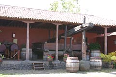 Casa del Vino - Weinpresse