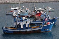 Fischerboote im Hafen von Playa San Juan