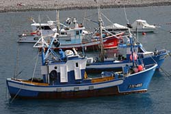 Fischerboote in Playa San Juan