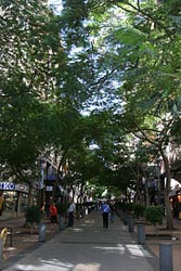 Rambla - Santa Cruz de Tenerife