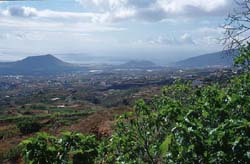 Teneriffa - Blick auf die Ebene von Güimar und Arafo