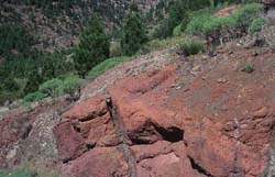 Teneriffa - bei Santiago del Teide