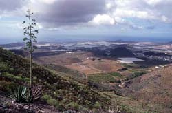 Teneriffa - Blick vom Mirador de la Centinela