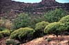 Bei Santiago del Teide