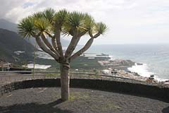 Blick auf Puerto Naos - La Palma - Kanarische Inseln